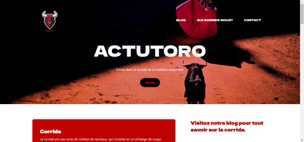 Publish Guest Post on actutoro.fr