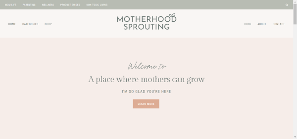 Publish Guest Post on motherhoodsprouting.com