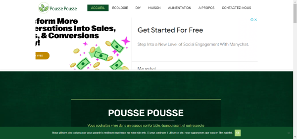 Publish Guest Post on pousse-pousse.com