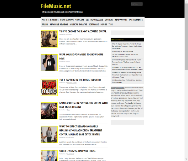 Publish Guest Post on filemusic.net